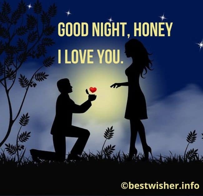 good night honey