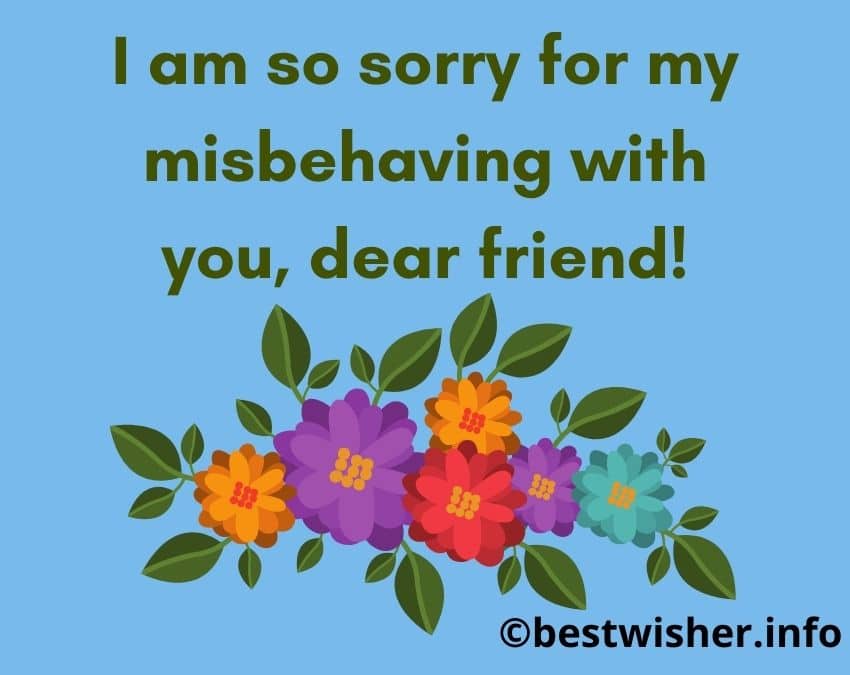 Apology message to a friend