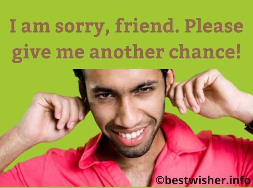 Sorry msg for friend
